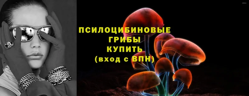 Псилоцибиновые грибы Cubensis Лиски